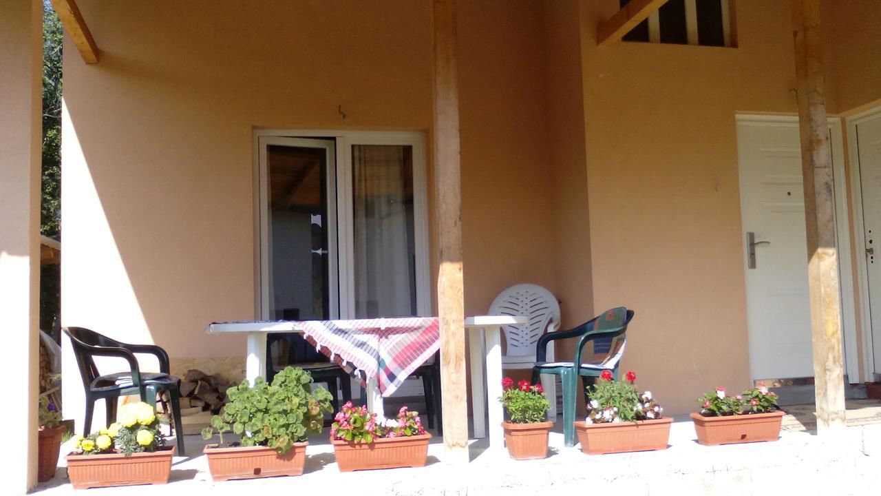 Шале Jankovic Chalet Колашин