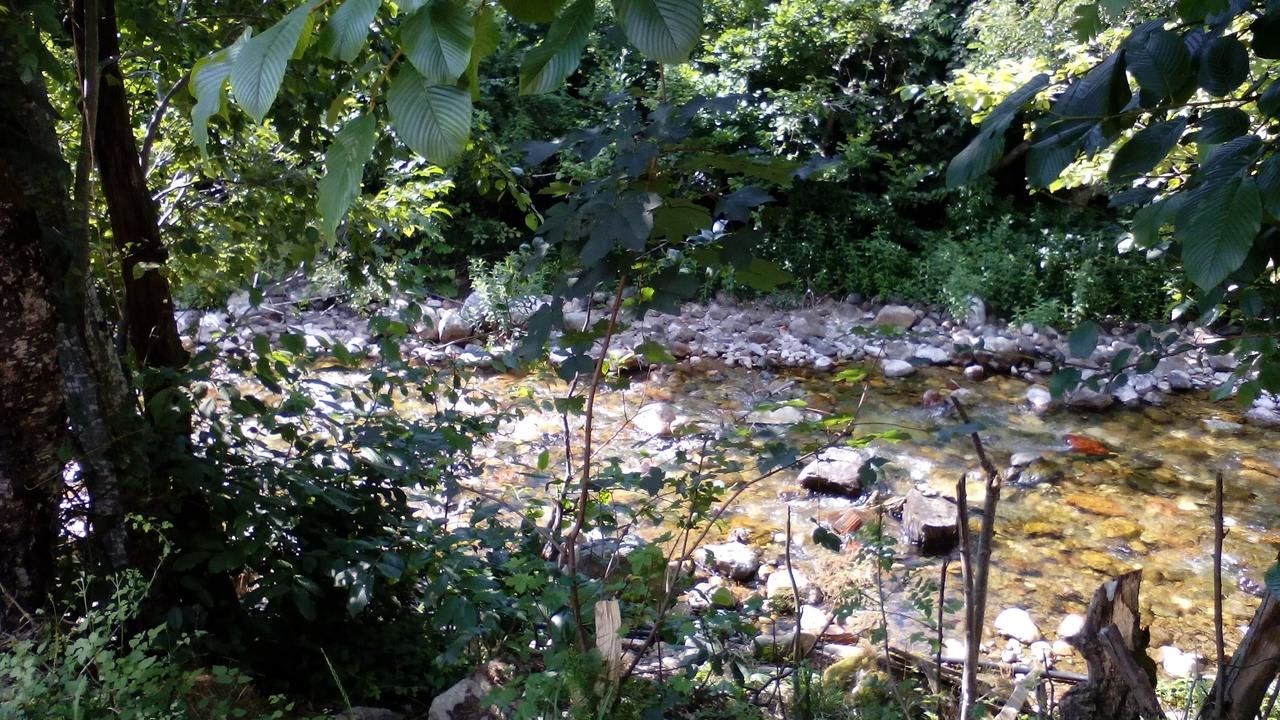 Шале Jankovic Chalet Колашин