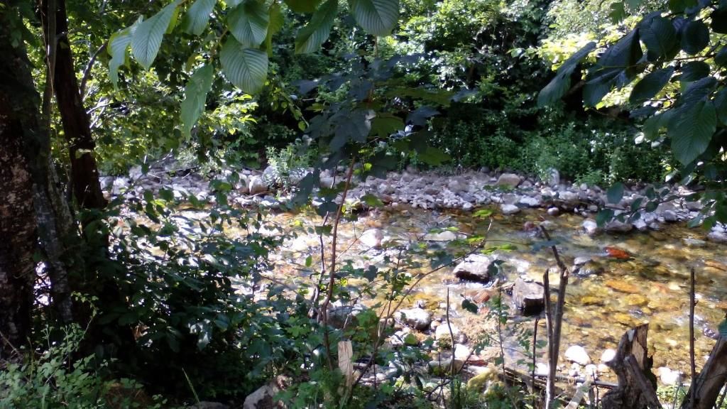 Шале Jankovic Chalet Колашин