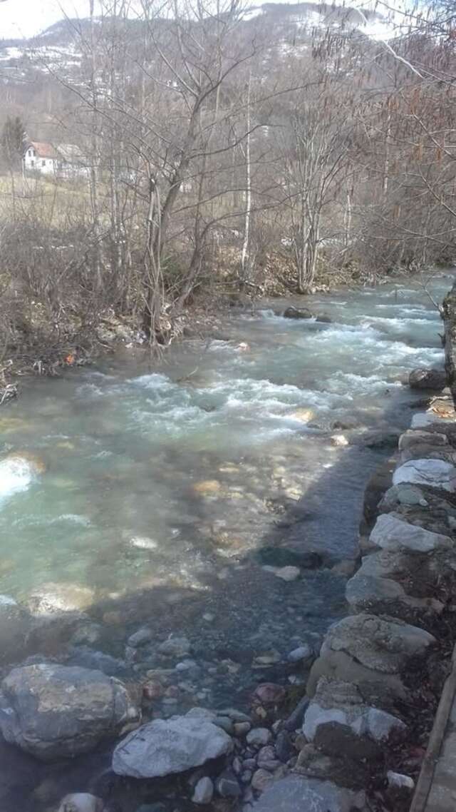 Шале Jankovic Chalet Колашин-4