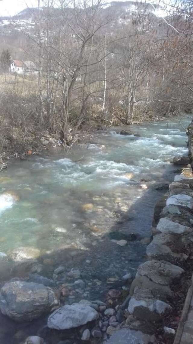 Шале Jankovic Chalet Колашин-46